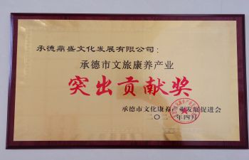 冰球突破(中国认证)有限公司-官网