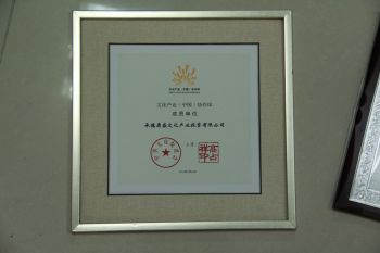 冰球突破(中国认证)有限公司-官网